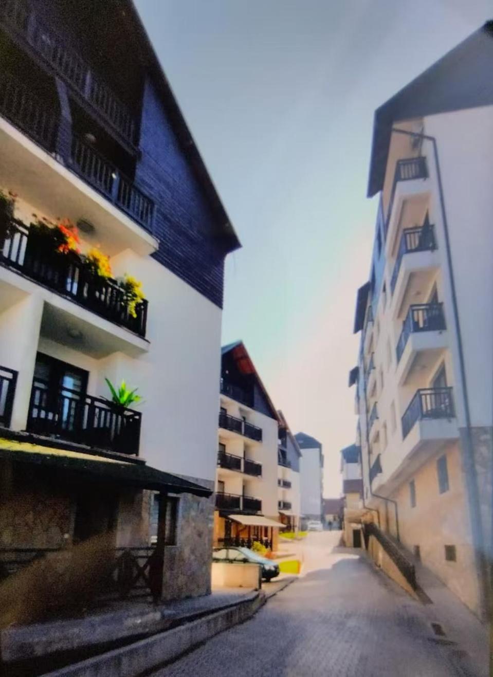 Beli Apartman U Zlatiborskim Konacima Bele Vode Bb المظهر الخارجي الصورة